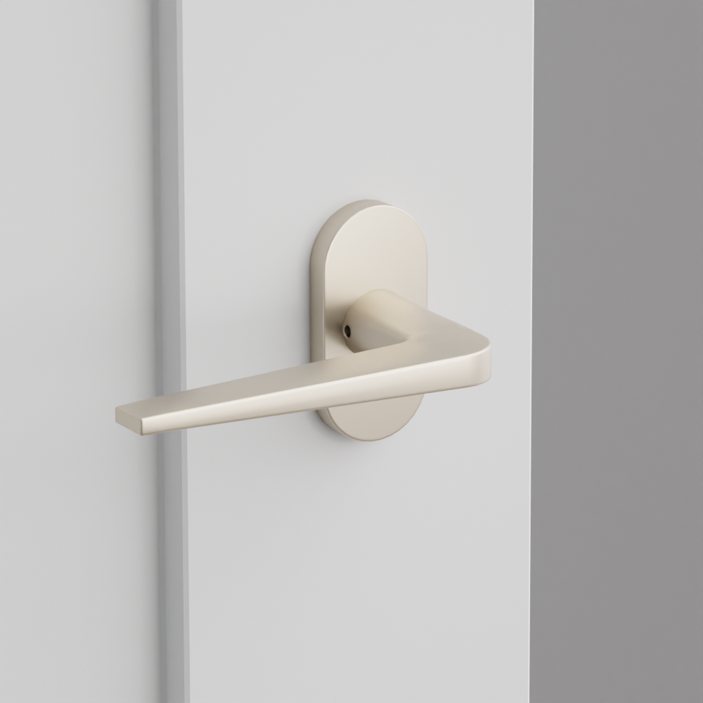 Exterior render - cgrender/InteriorPassagePrivacyDummy/default/h.lever_ATN.finish_US15/r.rosette_dummy_5803.finish_US15.png
