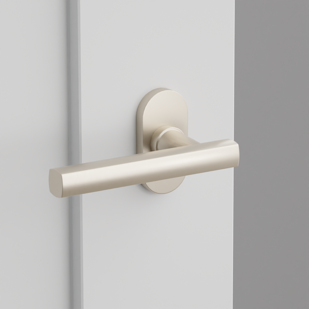 Exterior render - cgrender/InteriorPassagePrivacyDummy/default/h.lever_FRL.finish_US15/r.rosette_dummy_5803.finish_US15.png