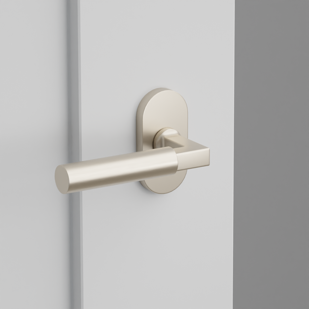Exterior render - cgrender/InteriorPassagePrivacyDummy/default/h.lever_HEC.finish_US15/r.rosette_dummy_5803.finish_US15.png