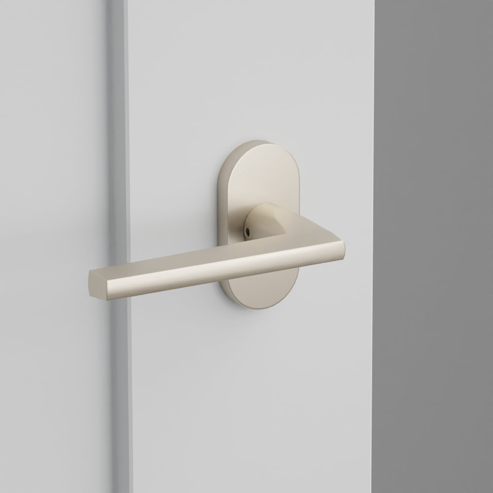 Exterior render - cgrender/InteriorPassagePrivacyDummy/default/h.lever_HLO.finish_US15/r.rosette_dummy_5803.finish_US15.png