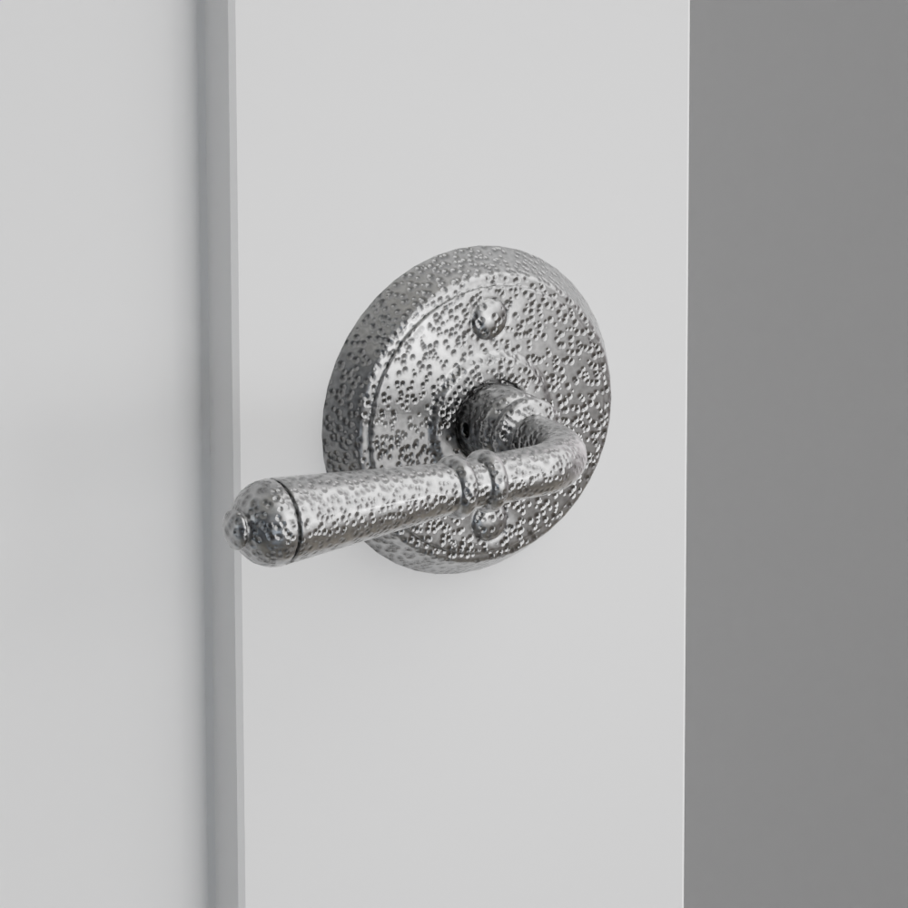 Exterior render - cgrender/InteriorPassagePrivacyDummy/default/h.lever_N.finish_SWS/r.rosette_dummy_7052.finish_SWS.png