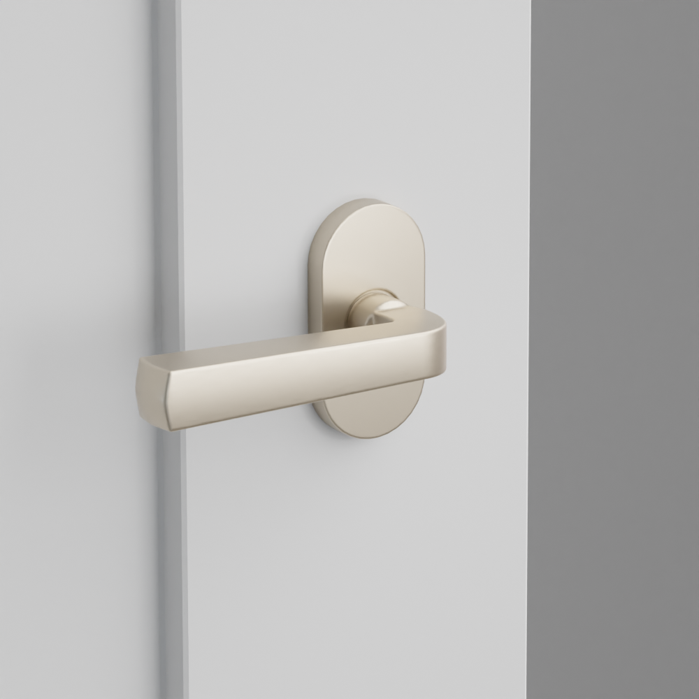 Exterior render - cgrender/InteriorPassagePrivacyDummy/default/h.lever_SIO.finish_US15/r.rosette_dummy_5803.finish_US15.png