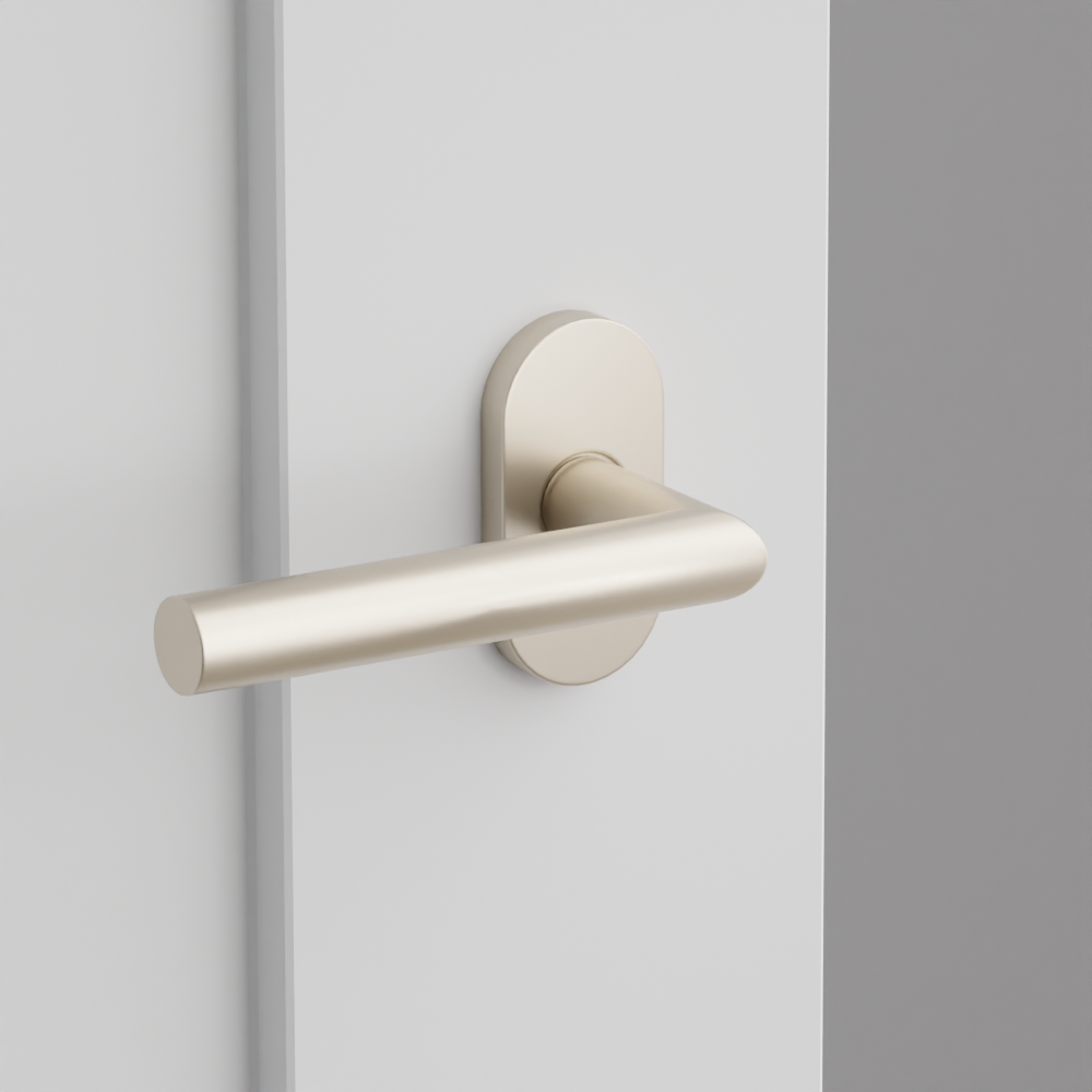 Exterior render - cgrender/InteriorPassagePrivacyDummy/default/h.lever_STU.finish_US15/r.rosette_dummy_5803.finish_US15.png